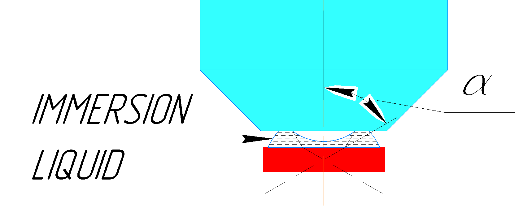 Immersion