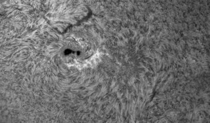 Quark + Lunt 40mm double stack at 102mm aperture